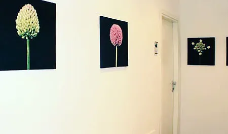 Domus Corso Umberto 18 Bed & Breakfast Pescara