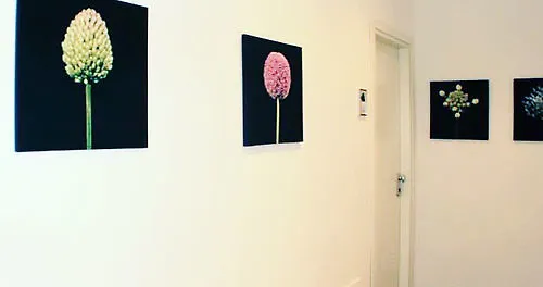 Domus Corso Umberto 18 Bed & Breakfast Pescara